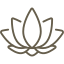 lotus-flower(1) lotus-flower(1)