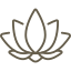 lotus-flower(1)